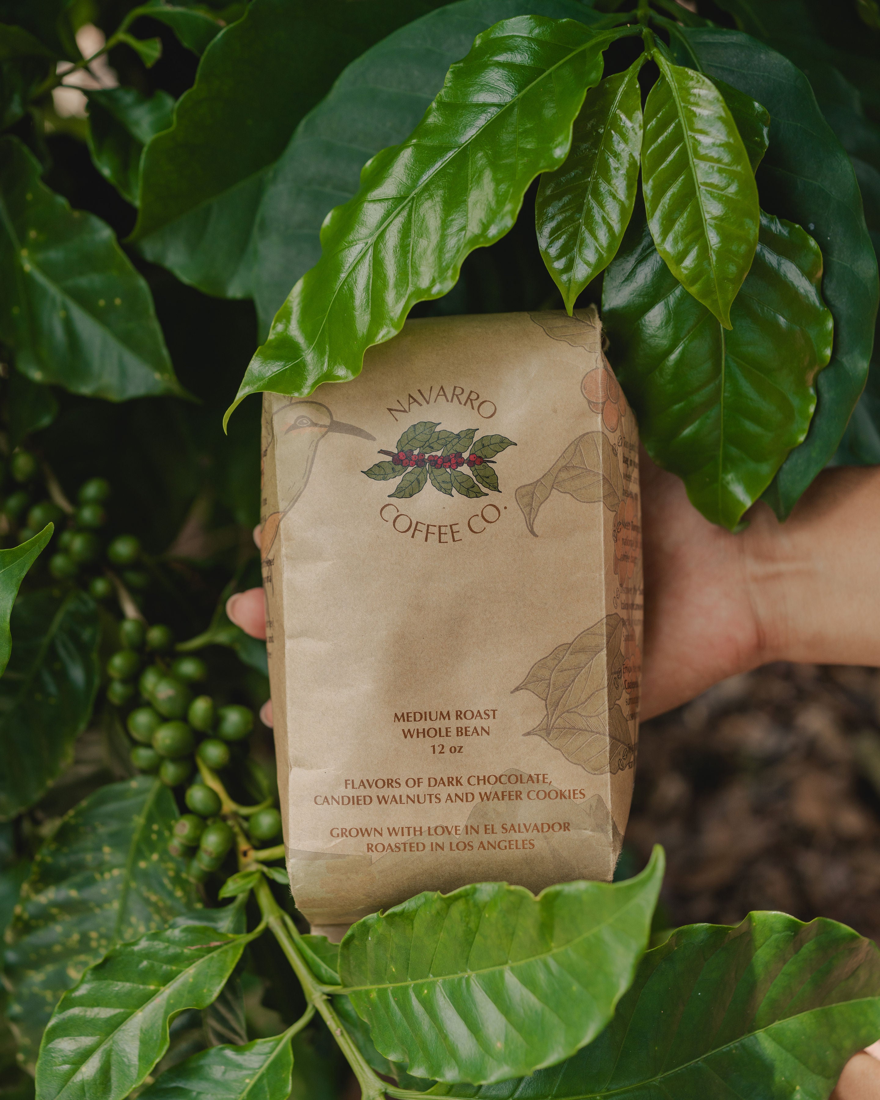 Coffee Lover Starter Kit Gift Set